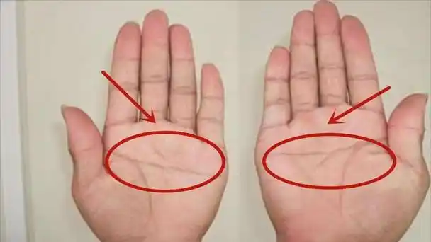 断掌纹的女人 (断掌纹的女人对家庭有什么影响)-第1张图片-珑钦运势网