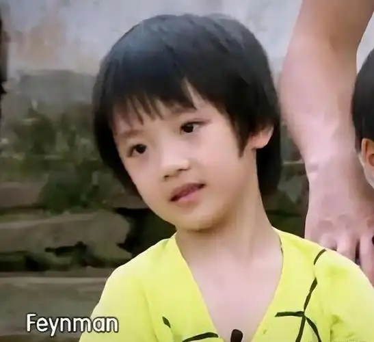 吴镇宇的儿子费曼在节目录制时,因为节目组没照顾好,眼角受了伤,最后