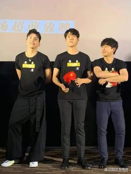 毫无疑问,最引人注目的差异在于他与魏大勋,王大陆的宣传照.