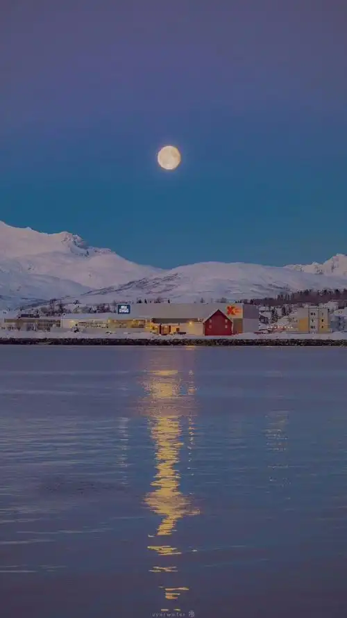 ❄️下雪 壁纸 美图