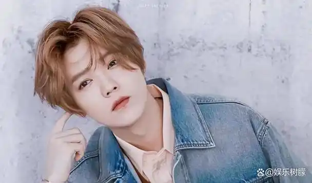 一张照片戳穿了鹿晗的尴尬陈道明的话是一点都没有说错