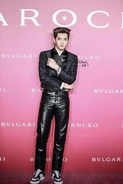 吴亦凡出席活动,皮裤配西装潮酷霸气,再加上大背头助攻,像极了大佬出