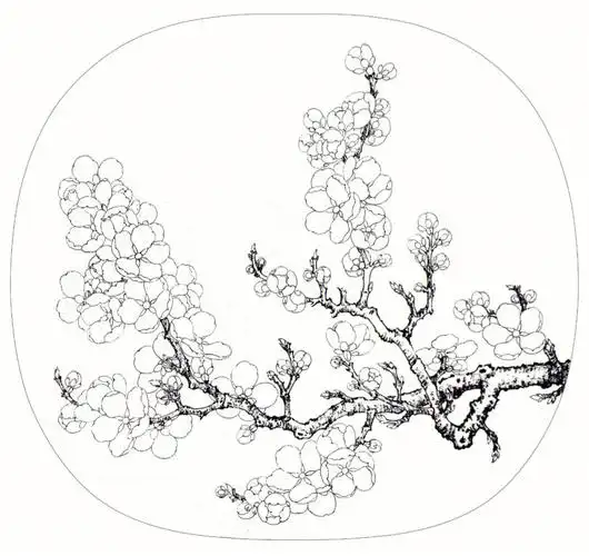 临宋杏花图绘制步骤