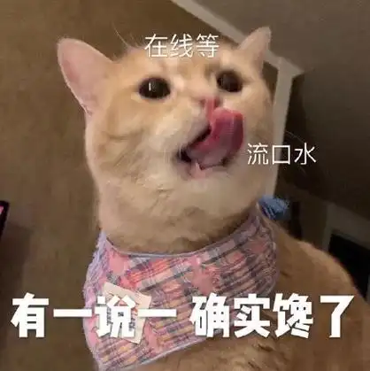 在线等流口水有一一确实馋了 - 今日份猫猫表情包