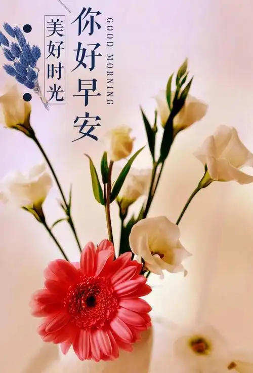 3月16日努力早安图片带字图片早安心语正能量励志语