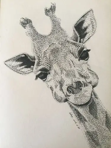 针管笔点画:长颈鹿