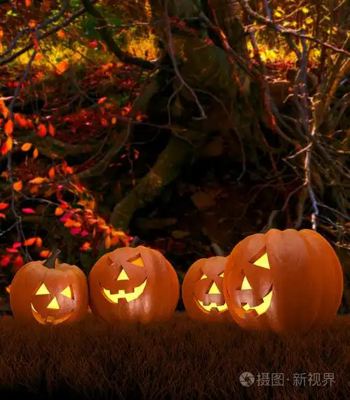 在森林里的南瓜与万圣节背景场景