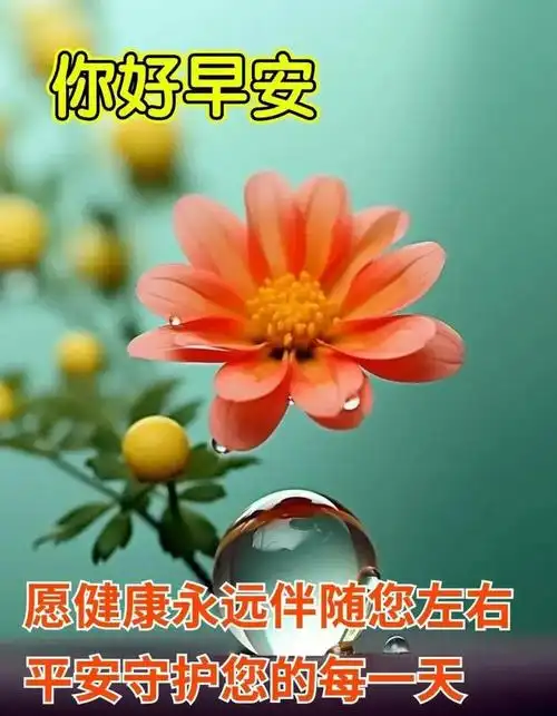 2024327今日新版早上好祝福图片暖心早安问候语句子