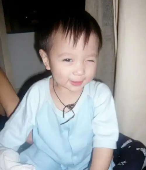 刘德华儿子照片,刘向蕙单独的照片