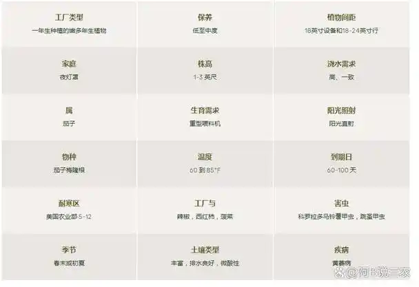 茄子的种植方法与护理技巧