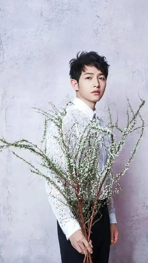 宋仲基手机壁纸