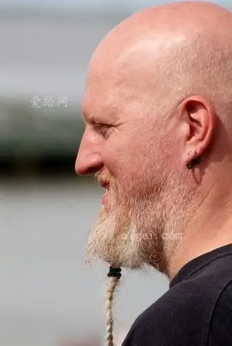 人, 侧面轮廓, 光头, 巴特, 人, 男性, 头(man, side profile, bald