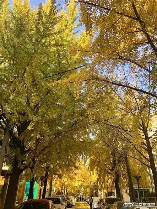东花市街道黄昏美景