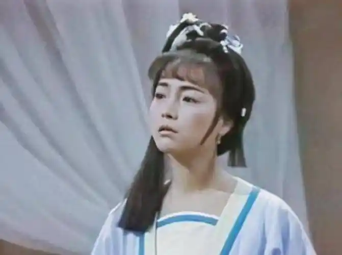 起初,苑琼丹以一个清纯玉女的身份出道,连续几年扮演一个古装美女,但