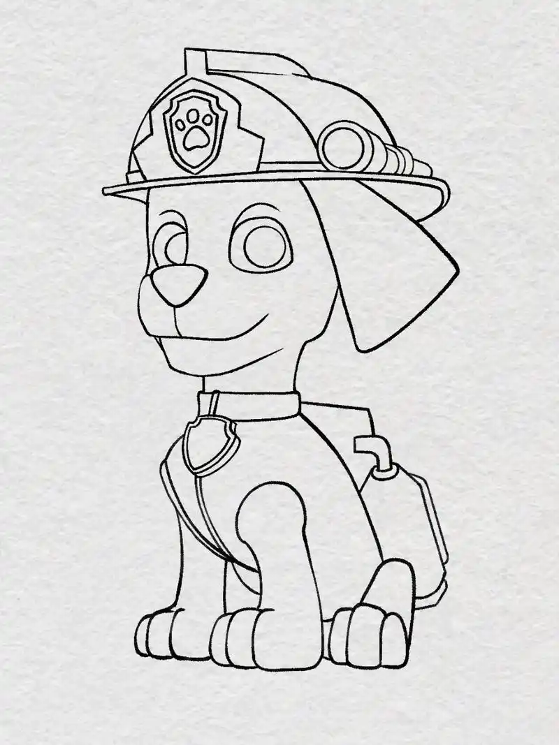 大家催更的汪汪队-毛毛来了