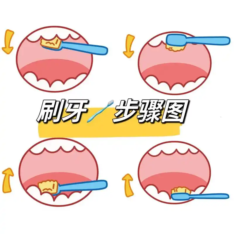 刷牙步骤图 宝贝如何刷牙05 步骤图安排上