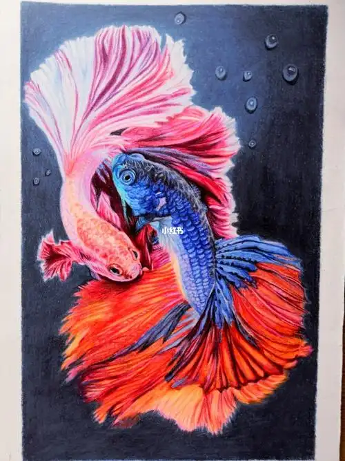 彩铅画,年年有鱼!
