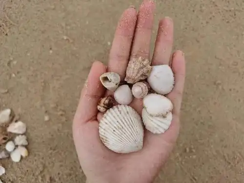 坐标北海,赴千里之约