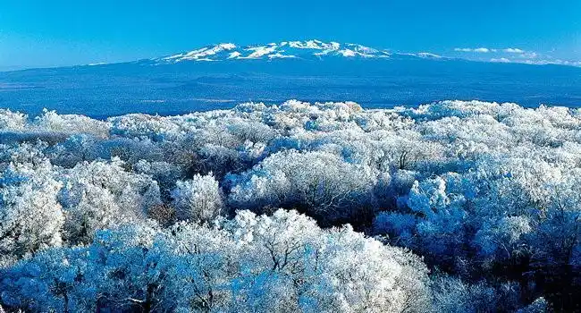 好山好水好风光 中国吉林长白山国家森林公园