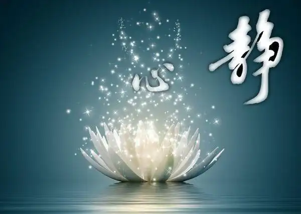 12,身是菩提树,心如明镜台,时时勤拂拭,勿使惹尘埃.