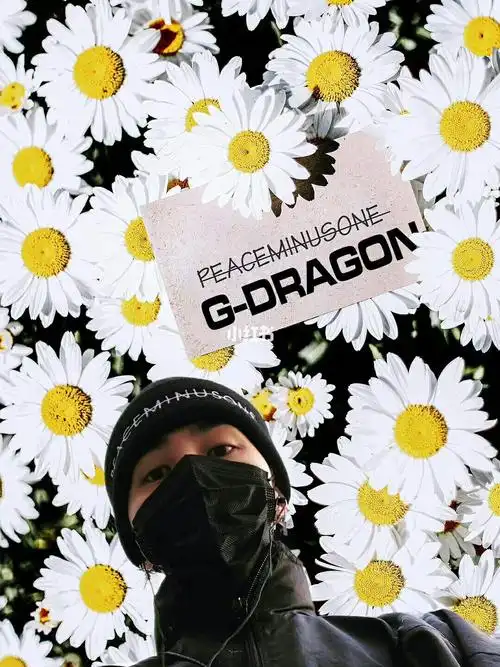 雏菊男孩珍藏的权志龙高清壁纸上线