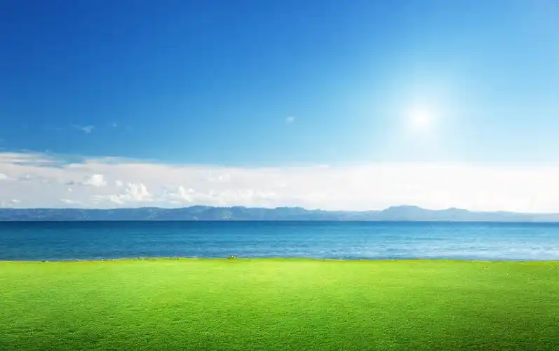 蓝天白云阳光下一望无际广阔的雏菊花田风景图希望复学蓝天白云气球