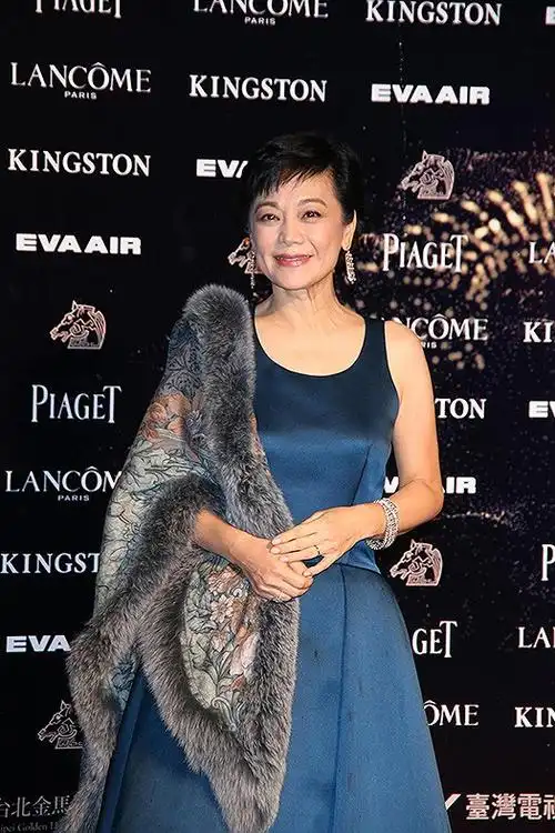 第52届金马奖红毯 舒淇张震邓超亮相