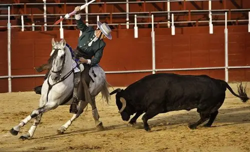 斗牛弗拉明戈舞蹈西班牙吉他民谣西班牙美景西班牙位于欧洲西南
