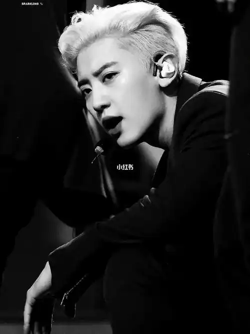 朴灿烈  #exo #chanyeolcr.(水印)