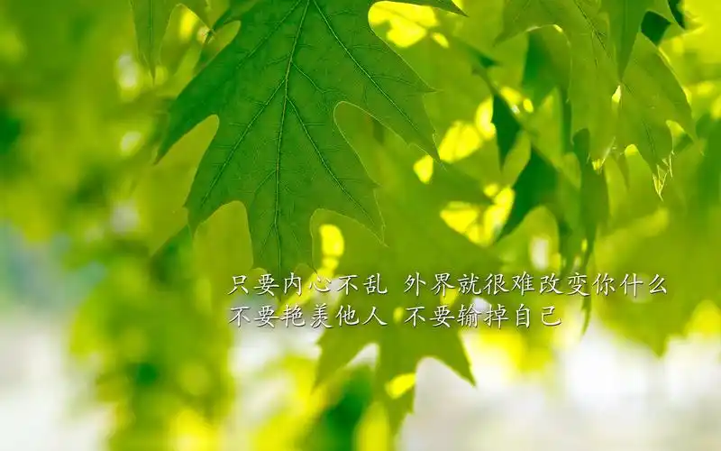 唯美励志文字小清新电脑壁纸图片大全高清大图预览1920x1200_设计创意