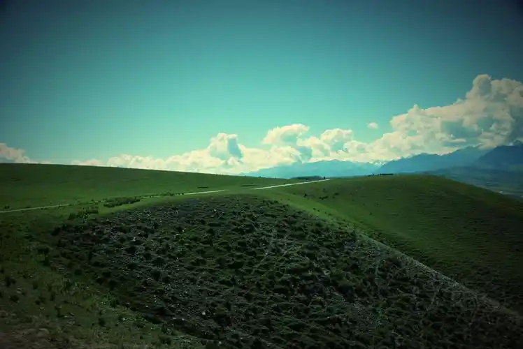天山山地草甸草原最典型的代表,喀拉峻.