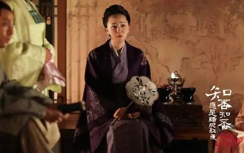 《知否知否应是绿肥红瘦》王一楠剧照图片壁纸