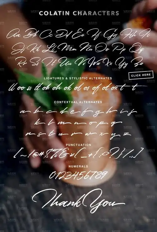 一款洒脱自由手写英文字体16素材网精选 colatin script