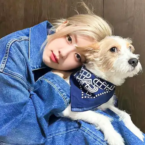 朴彩英##朴彩英壁纸