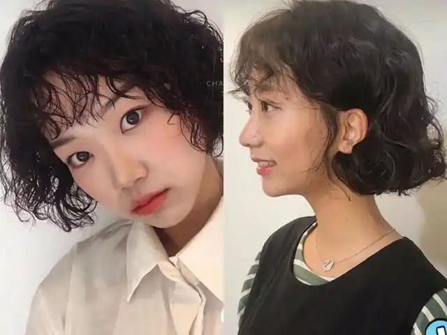 分享几款超好看的短发泰迪卷图片,发量少的女生了解一下