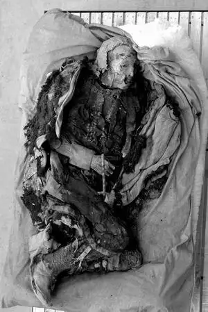 洋海浮现的历史之最