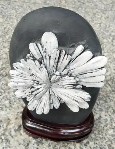 [原创]石头开花,天下奇绝