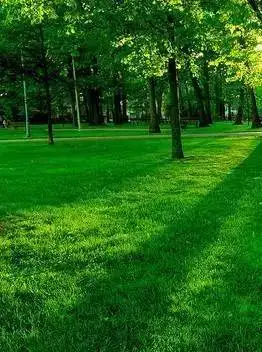 给家人朋友最好的敬上!祝愿您身体健康!