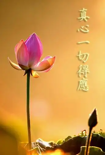 忍是修学佛法的起步是修心的入门路径