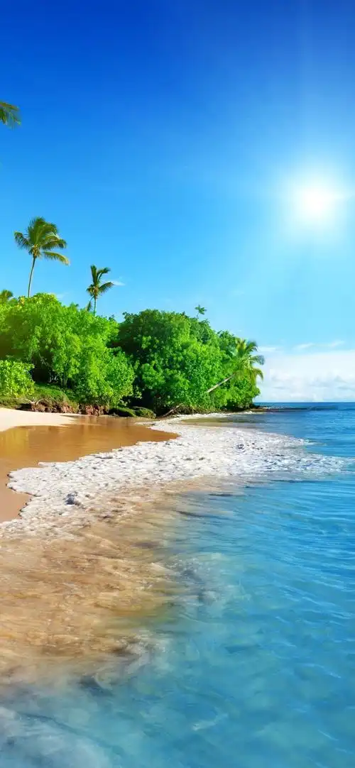 美丽的海滩,棕榈树,海,阳光,热带风光 iphone 壁纸