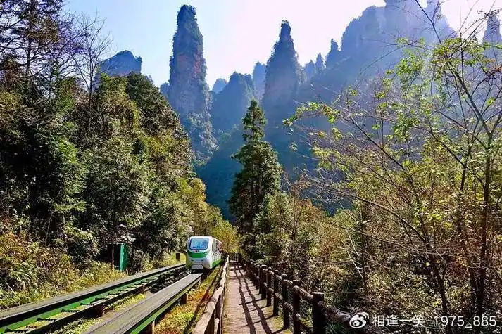 张家界国家森林公园一日游游玩攻略请收好