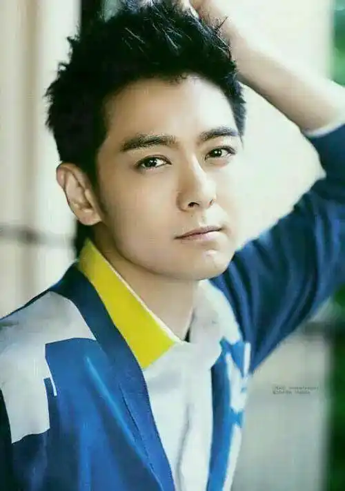 不老男神林志颖