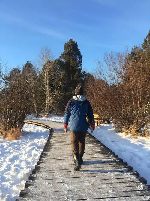走路的图片背影一个人,一个人走路的背影图片_大山谷图库