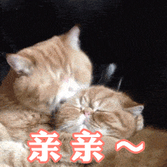 接吻一次可能会交换8000万细菌!这些病就是"亲"出来的!_手机搜狐网