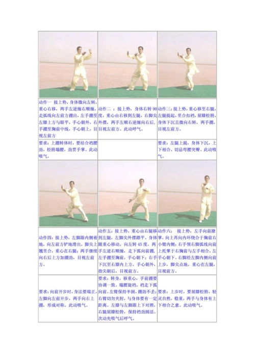 陈式太极拳精要十八式图解