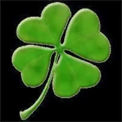 好看的四叶草图片头像 四叶草最漂亮图片唯美头像大全_女生头像_美头