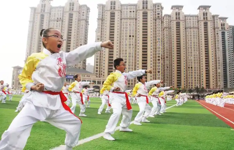 白塔岭小学武术操《天行健》