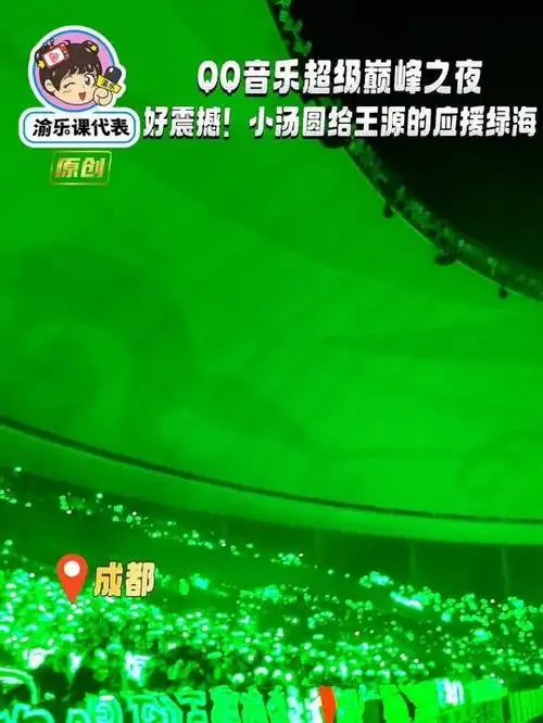 好震撼!小汤圆给王源的应援绿海