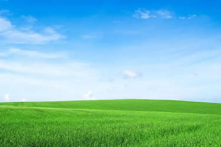 电脑壁纸_高清电脑壁纸图片_电脑壁纸图片大全 - 典雅壁纸