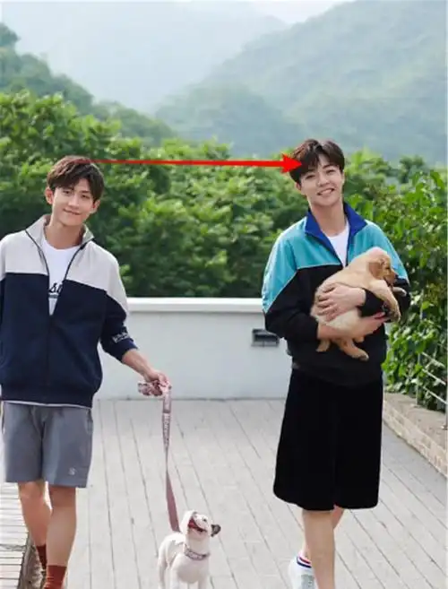 想比之下,脸上看上去很嫩的陈立农,感觉应该是那种身高170出头的样子